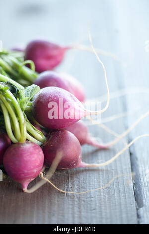 Fresh bunch of harvested radish Fresh bunch of harvested radish