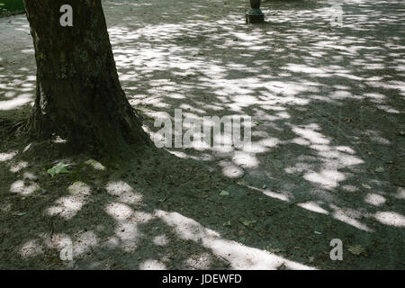 Parks around Brussels, Belgium Stock Photo