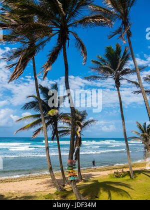 Bathsheba Park, Saint Joseph, Barbados Stock Photo