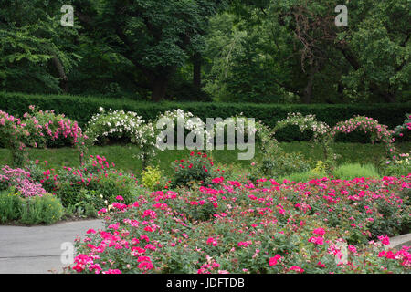 Botanic Garden Stock Photo