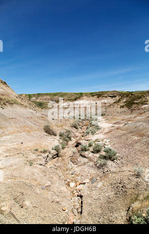Midland Provincial Park, near Drumheller, in Alberta, Canada. The park has a self-guided trail for exploring the landscape of the Badlands. Stock Photo