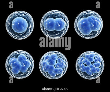 Process division of cell. Isolated on black background. 3d render Stock Photo
