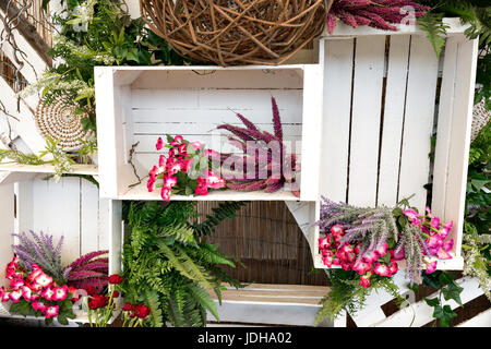 Creative wall decor made from wooden fruit boxes Stock Photo