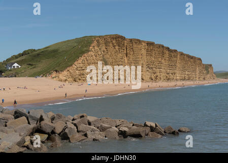 The Jurassic coastline viewed from the harbour entrance at West Bay in West Dorset England UK. June 2017. The golden strata of the East cliff. Stock Photo