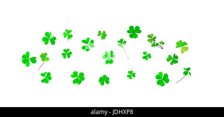 Different trefoil petals isolated on white background. St.Patrick's day holiday symbol. Green Shamrock. Stock Photo
