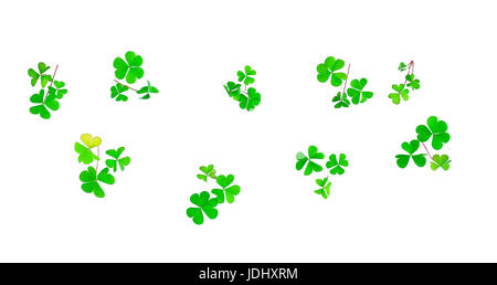 Different trefoil petals isolated on white background. St.Patrick's day holiday symbol. Green Shamrock. Stock Photo
