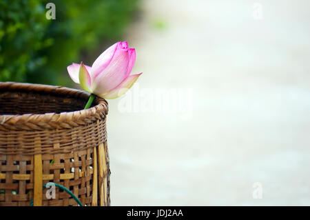 Along the roadsides, baskets placed inside a lotus. Stock Photo