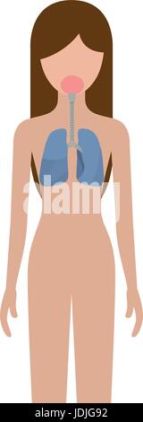 colorful silhouette female person with respiratory system human body Stock Vector