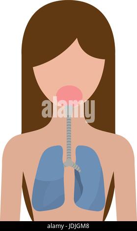 colorful silhouette half body female person with respiratory system human body Stock Vector