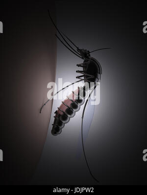 Mosquito sucking blood on human body, dark background 3d illustration Stock Photo
