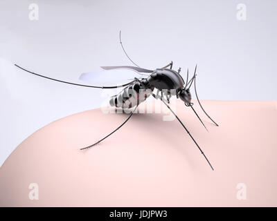 Mosquito sucking blood on human body, 3d illustration Stock Photo