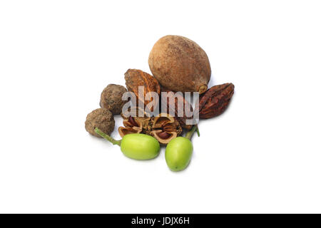 A combination of herbal fruits on white background Stock Photo