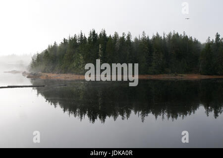 A forest shoreline at high tide reflected in a Pacific Ocean slough on Denny Island, Great Bear Rainforest, British Columbia, Canada. Stock Photo