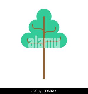 Big tree Linden isolated. Green Wood on white background Stock Vector