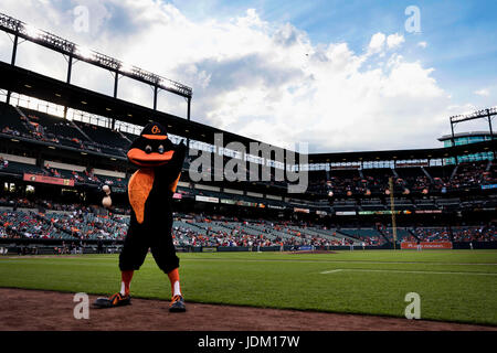 Houston, Texas, USA. 28th May, 2017. The Oriole Bird greets Astros fans  before a MLB baseball game between the Baltimore Orioles and the Houston  Astros at Minute Maid Park in Houston, Texas.