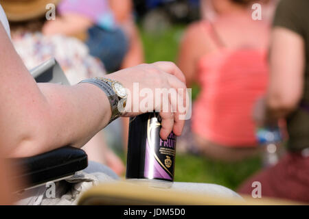 Pilton, Somerset, UK. 21st June, 2017. Glastonbury Festival Day 1 - Image of woman's arm wearing a watch and drinking cider on a hot day at Glastonbury Festival at Glastonbury Festival, Pilton 21st June 2017, UK Credit: DFP Photographic/Alamy Live News Stock Photo