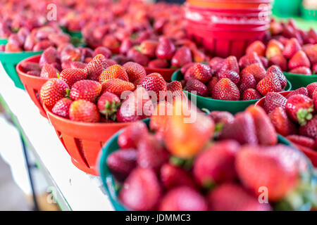 Closeup of many strawberries in baskets in market Stock Photo