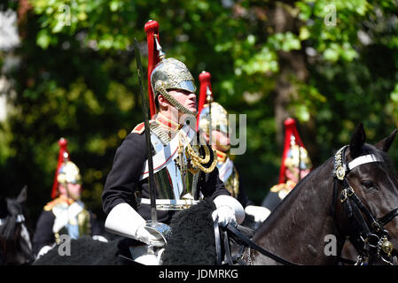 trooping blues cavalry household royals colour 2010 alamy