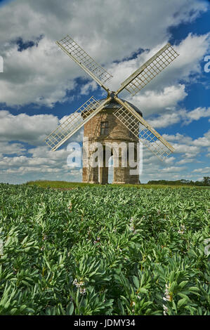 Chesterton Windmill in Warwickshire is surrounded by a crop of broad beans.