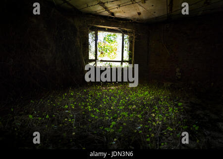 Pants overtaking a closed and abandoned building Stock Photo