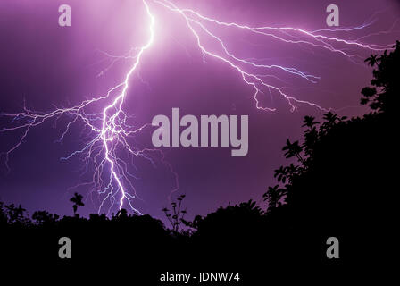 Downward Lightning Stroke on Dark Purple Sky with Silhouette Forest Stock Photo