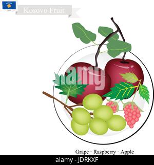 Kosovo Fruit, Ripe and Sweet Apple, Grapes, and Raspberry. The Most Popular Fruits of Kosovo. Stock Vector