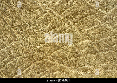 interesting textured elephant skin, pattern of real leather for your design Stock Photo