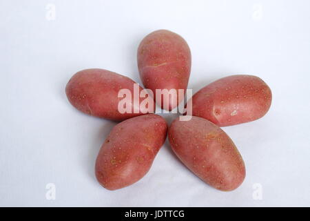 Potato red firm and fondant on white background Stock Photo