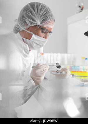Forensic scientist with evidence in lab Stock Photo