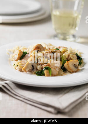 Plate of chicken stroganoff Stock Photo
