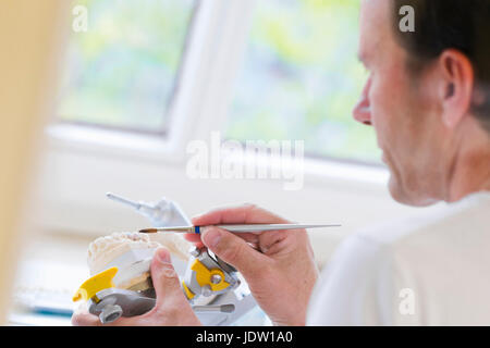Dentist working on set of teeth Stock Photo