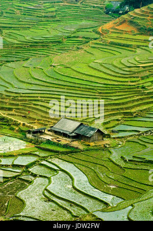Aerial view of house in divided farmland Stock Photo