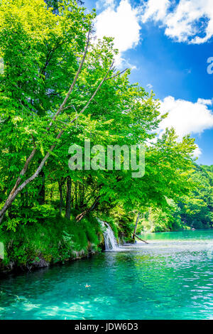 One of the many cascades at Plitvice Lakes National Park One of the many cascades at Plitvice Lakes National Park