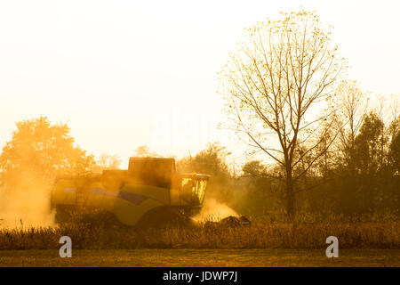 Harvester in backlight surrounded by dust works in a field at sunset Stock Photo