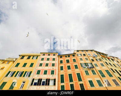 Camogli Italy, facade of typical palaces seen from below in blue sky with white clouds flying seagulls Stock Photo