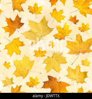 Seamless pattern with dry autumn leaves. Background of maple orange pressed leaves Stock Photo