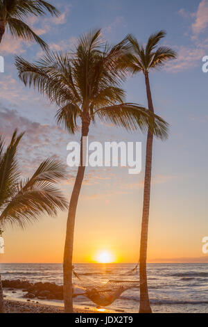 person relaxing in a hammock between two silhouetted palm trees on a beach in Hawaii at sunset Stock Photo