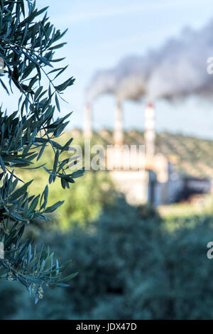 Chimney expelling pollutant gases to the air, between branches of olive, Jaen Spain Stock Photo