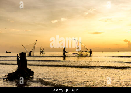 Sea clam digging fishermen golden sunrise Tan Thanh beach Go Cong Tien Giang Viet Nam Stock Photo