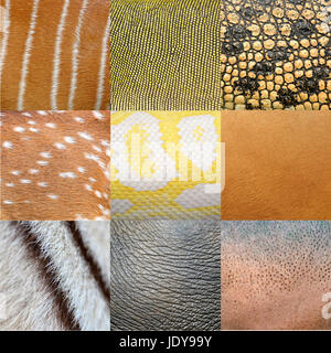textured of an animals skin Stock Photo