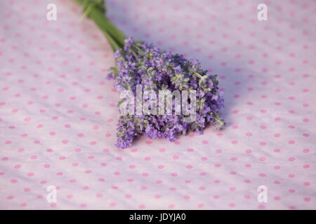 bunch of Lavender on a pink dottet ground