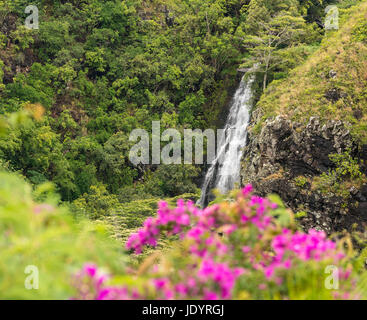 Opaekaa Falls in Hawaiian island of Kauai Stock Photo