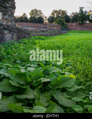 The Walls of Ferrara (in italian Le Mura) in Italy Stock Photo