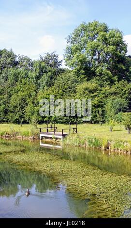 Henlow Bridge Lakes, Bedfordshire, UK. 19th June 2017. Heatwave stops anglers. Empty fishing spots as the heatwave continues and anglers find it too hot for fishing. The fishing swims, pontoons, decks are usually all full, but in the current heatwave there are plenty  of spaces available Photo Credit: Mick Flynn/Alamy Live News Stock Photo