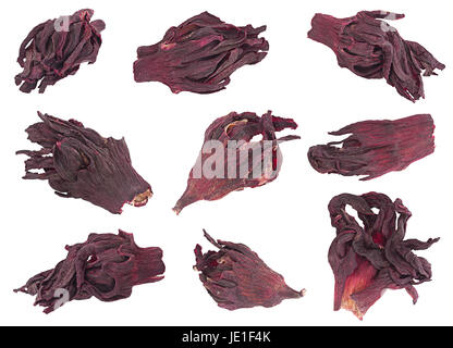 Hibiscus red dry tea closeup collection isolated on white background Stock Photo