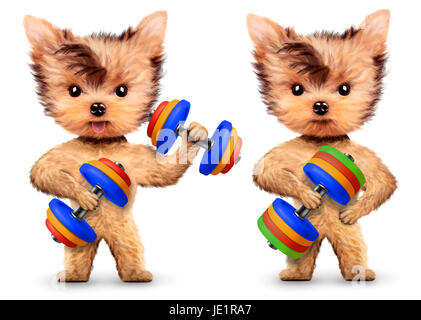 Funny dogs training with dumbbell in sport gym. Concept of sport and fitness. Realistic 3D illustration. Stock Photo