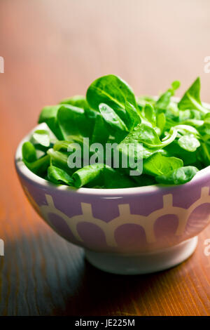the corn salad, lamb's lettuce in ceramic bowl Stock Photo