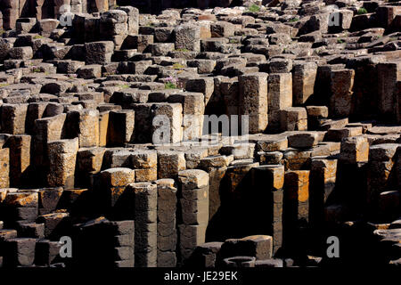 Giant's Causeway - Basalt Columns Stock Photo