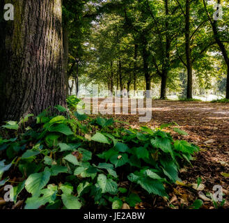 The Walls of Ferrara (in italian Le Mura) in Italy Stock Photo