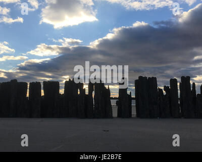 Row of old wooden posts that used to support a wooden pier at sunset.  Dramatic sky ad t sunset with puffy clouds. Coney Island, Brooklyn, NY. Stock Photo